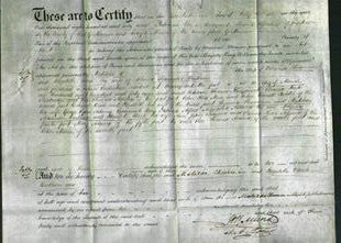 Deed by Married Women - Matilda Cheesman and Elizabeth Clark Bentham-Original Ancestry