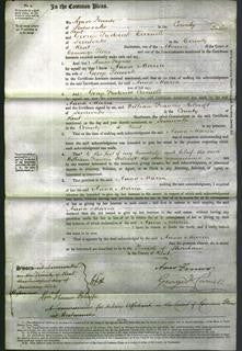 Court of Common Pleas - Anna Maria Peacock-Original Ancestry