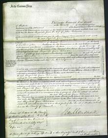 Court of Common Pleas - Elizabeth Grace Robinson-Original Ancestry