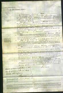 Court of Common Pleas - Celina Flower-Original Ancestry