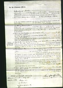 Court of Common Pleas - Mary Ann White-Original Ancestry