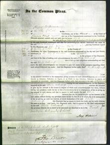 Court of Common Pleas - Selina Watmough-Original Ancestry