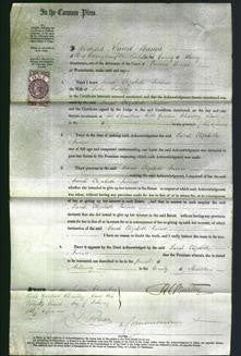 Court of Common Pleas - Sarah Elizabeth Twiner-Original Ancestry