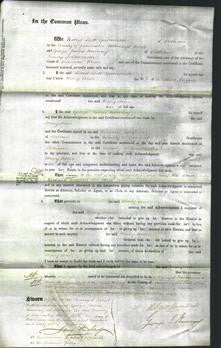 Court of Common Pleas - Mary Ann Hague-Original Ancestry