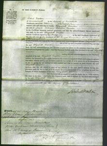 Court of Common Pleas - Elizabeth Morton-Original Ancestry