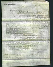 Court of Common Pleas - Mary Ann Bunyard and Lucy Tassell-Original Ancestry