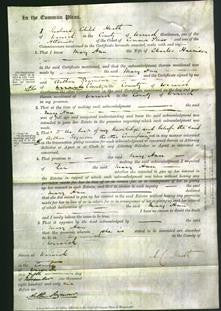 Court of Common Pleas - Mary Ann Harrison-Original Ancestry
