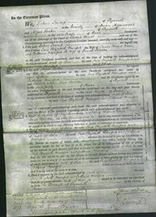 Court of Common Pleas - Jane Elizabeth Munford Moon and Catherine Munford Slidston-Original Ancestry