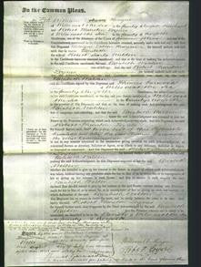 Court of Common Pleas - Elizabeth Walden-Original Ancestry