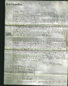 Court of Common Pleas - Matilda Cheesman and Elizabeth Clark Bentham-Original Ancestry