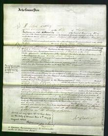 Court of Common Pleas - Emily Jane Tillyer-Original Ancestry