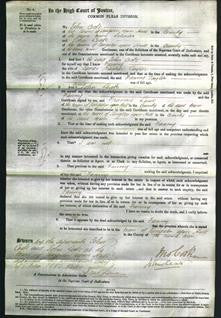 Court of Common Pleas - Fanny Taylor-Original Ancestry