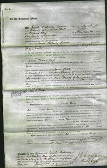 Court of Common Pleas - Ann Higginbottom-Original Ancestry