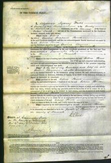 Court of Common Pleas - Celina Flower-Original Ancestry