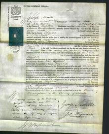 Court of Common Pleas - Elizabeth Taylor-Original Ancestry