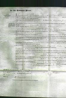 Court of Common Pleas - Catherine Elizabeth Fenton-Original Ancestry