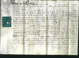 Deed by Married Women - Mary Ann Lausley, Hannah Sarah Barnes and Jane Sperring-Original Ancestry