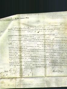 Court of Common Pleas - Sarah Brough-Original Ancestry