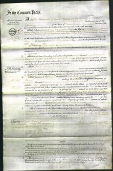 Court of Common Pleas - Mary Ann Lausley, Hannah Sarah Barnes and Jane Sperring-Original Ancestry