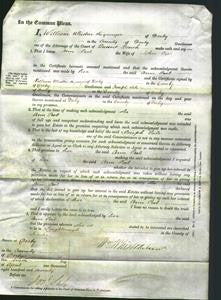 Court of Common Pleas - Ann Peel-Original Ancestry