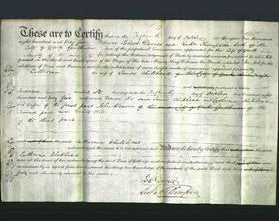 Court of Common Pleas - Catherine Whitehead-Original Ancestry