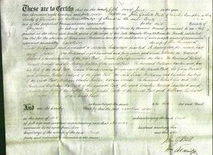 Deed by Married Women - Caroline Williams-Original Ancestry