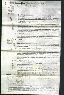 Court of Common Pleas - Maria Elizabeth Nash-Original Ancestry