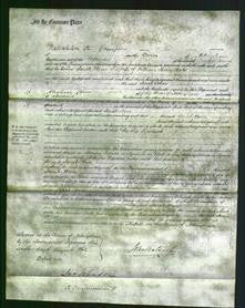 Court of Common Pleas - Sarah Ann Watts-Original Ancestry