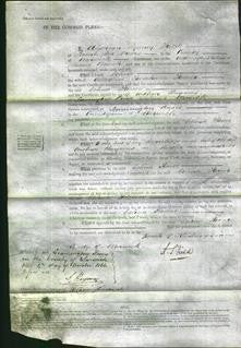 Court of Common Pleas - Celina Flower-Original Ancestry