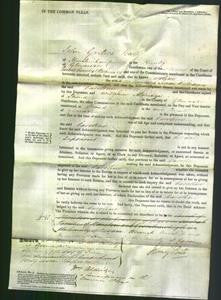 Court of Common Pleas - Caroline Williams-Original Ancestry