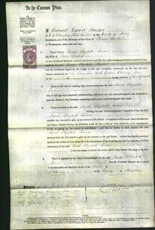 Court of Common Pleas - Sarah Elizabeth Twiner-Original Ancestry