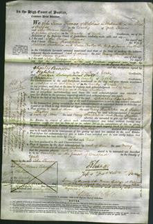 Court of Common Pleas - Mary Shackleton and Susan Feather-Original Ancestry