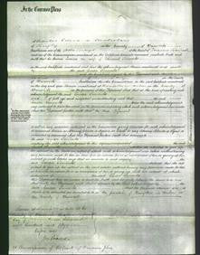 Court of Common Pleas - Louisa Simonds-Original Ancestry