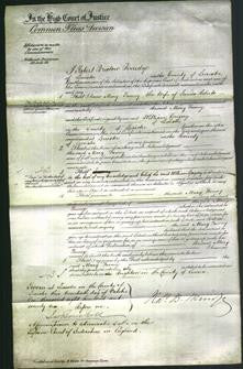 Court of Common Pleas - Mary Fanny Roberts-Original Ancestry