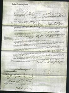 Court of Common Pleas - Ann Robinson-Original Ancestry