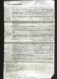 Court of Common Pleas - Sarah Adams, Mary Ann Maxted-Original Ancestry