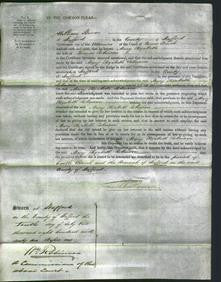 Court of Common Pleas - Mary Elizabeth Robinson-Original Ancestry