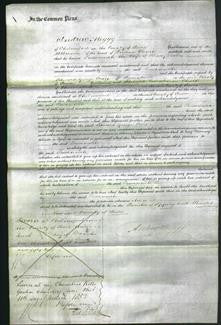 Court of Common Pleas - Susannah Seaton-Original Ancestry