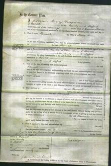 Court of Common Pleas - Hannah Owen-Original Ancestry