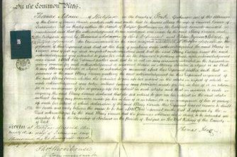 Court of Common Pleas - Mary Turner-Original Ancestry