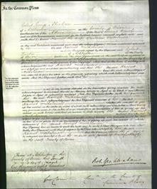 Court of Common Pleas - Harriet Michelmore-Original Ancestry