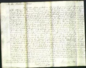 Court of Common Pleas - Fanny Look and Mary Whitnell-Original Ancestry