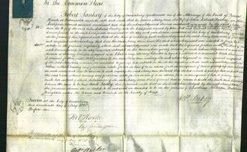Court of Common Pleas - Mary Ann Sankey-Original Ancestry