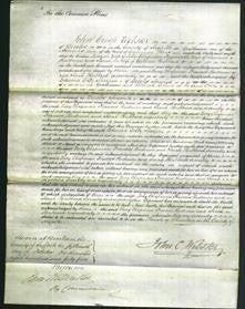 Court of Common Pleas - Lucy Chapman, Frances Rudrum and Sarah Hubbard-Original Ancestry