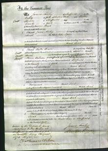 Court of Common Pleas - Sarah Dyson-Original Ancestry