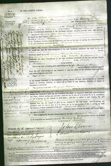 Court of Common Pleas - Margaret Beaven-Original Ancestry