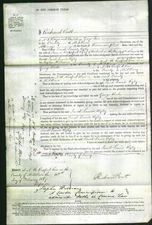 Court of Common Pleas - Sarah Louisa Ryley-Original Ancestry