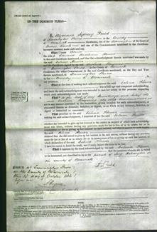 Court of Common Pleas - Celina Flower-Original Ancestry