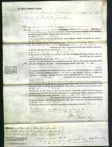 Court of Common Pleas - Hannah Porter-Original Ancestry