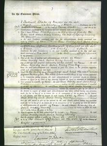 Court of Common Pleas - Ann Moody, Julia Mary Moody-Original Ancestry